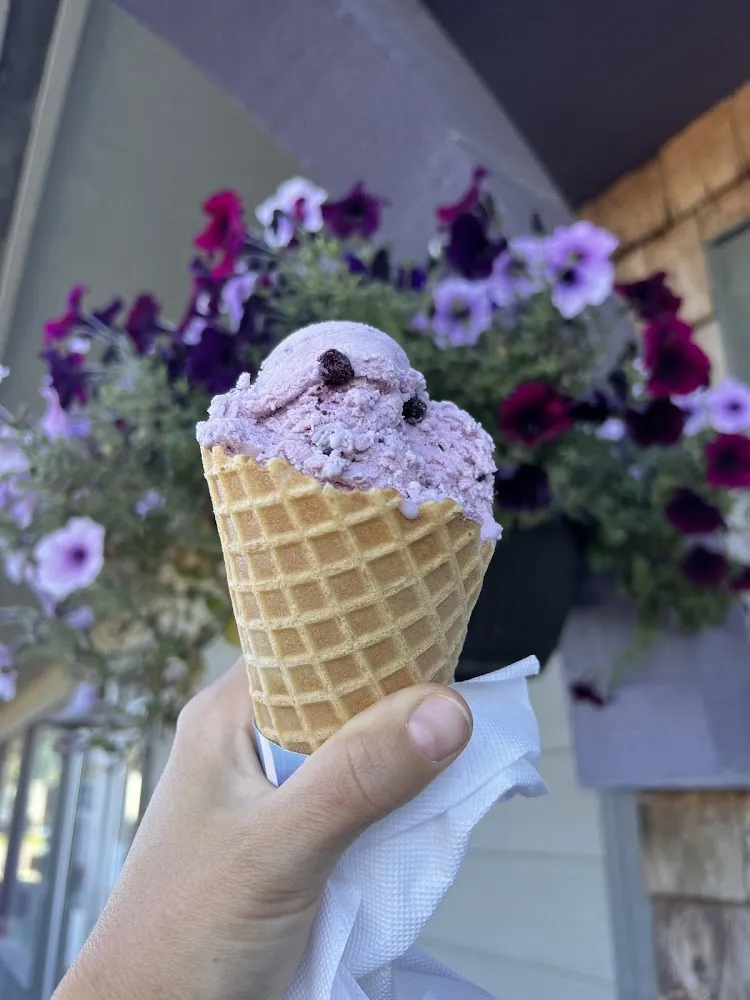 Ice Cream